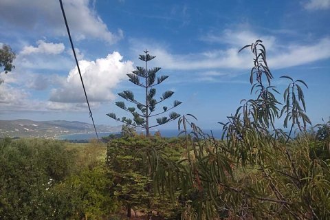 4 chambres House à Zakynthos, Greece No. 69545 20