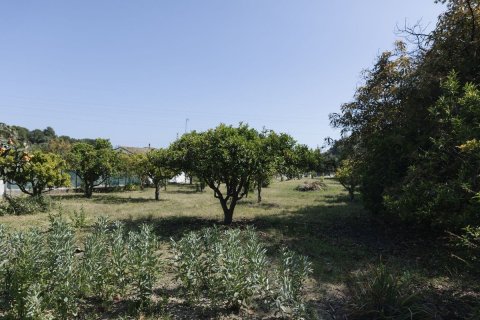 Land in Dinh An, Vietnam No. 89984 12