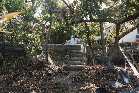 Land in Dinh An, Vietnam No. 89984 13