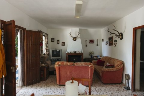 Land in Dinh An, Vietnam No. 89984 14