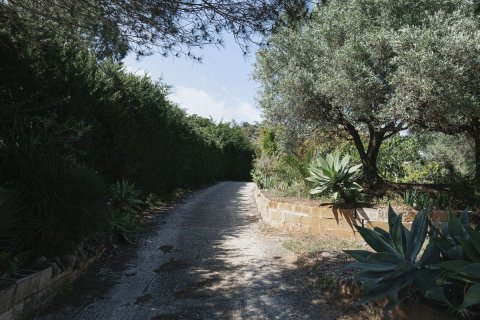 Land in Dinh An, Vietnam No. 89984 2