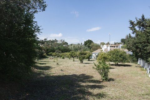 Land in Dinh An, Vietnam No. 89984 3