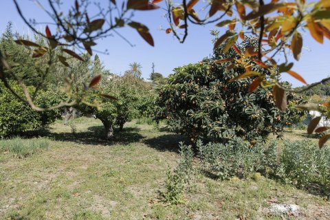 Land in Dinh An, Vietnam No. 89984 11