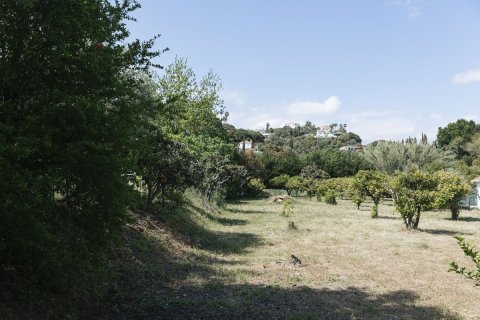 Land in Dinh An, Vietnam No. 89984 5