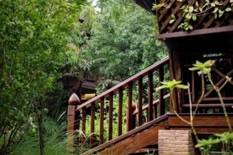 6 bedrooms House in Chiang Mai, Thailand No. 97832 1