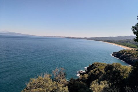 6005m² Land in Chalkidiki, Greece No. 109406 1