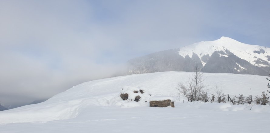 4 chambres House à Les Gets, France No. 99490
