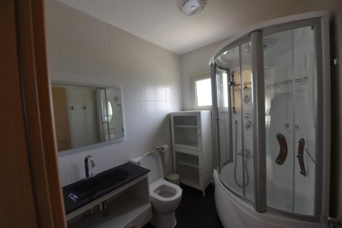 4 dormitorios Villa en Limassol, Cyprus No. 106306 11