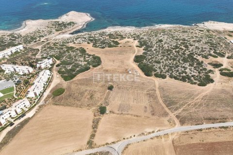 2 dormitorios Apartment en Bao Thuan, Vietnam No. 11618 6