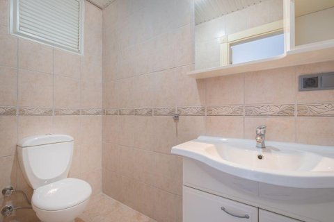 3 rooms Apartment in Chau Lang, Vietnam No. 92643 14