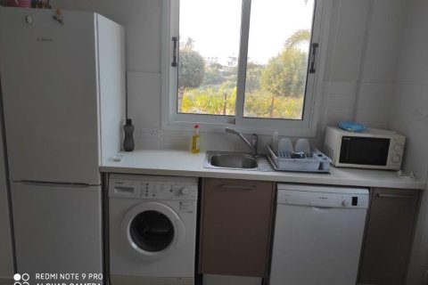 3 chambres Villa à Paphos, Cyprus No. 28049 20