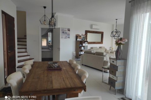 3 chambres Villa à Paphos, Cyprus No. 28049 21