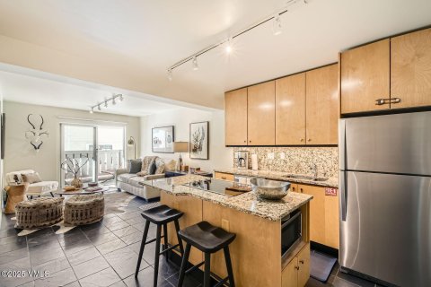 1 bedroom Condo  in Vail, USA No. 81932 8
