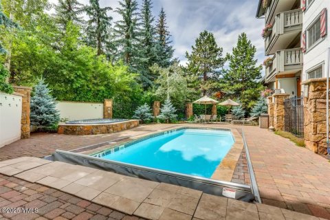1 bedroom Condo  in Vail, USA No. 81932 19