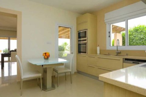 5 bedrooms Villa in Tala, Cyprus No. 101247 6