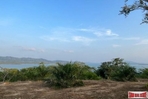 2156.3m² Land en Phang Nga, Thailand No. 96384 9