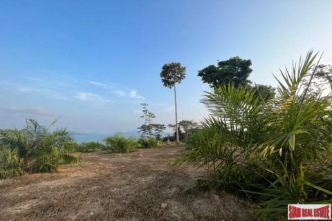 2156.3m² Land en Phang Nga, Thailand No. 96384 6