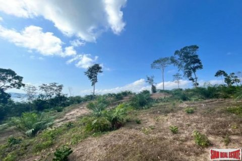 2156.3m² Land en Phang Nga, Thailand No. 96384 2