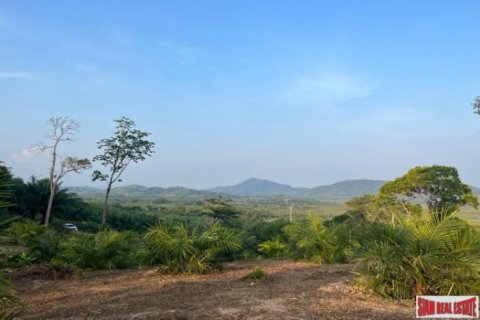 2156.3m² Land en Phang Nga, Thailand No. 96384 10