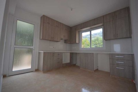 6 bedrooms House in Pegeia, Cyprus No. 63396 4