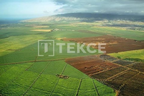 17304m² Land en Arnavutkoey, Turkey No. 129764