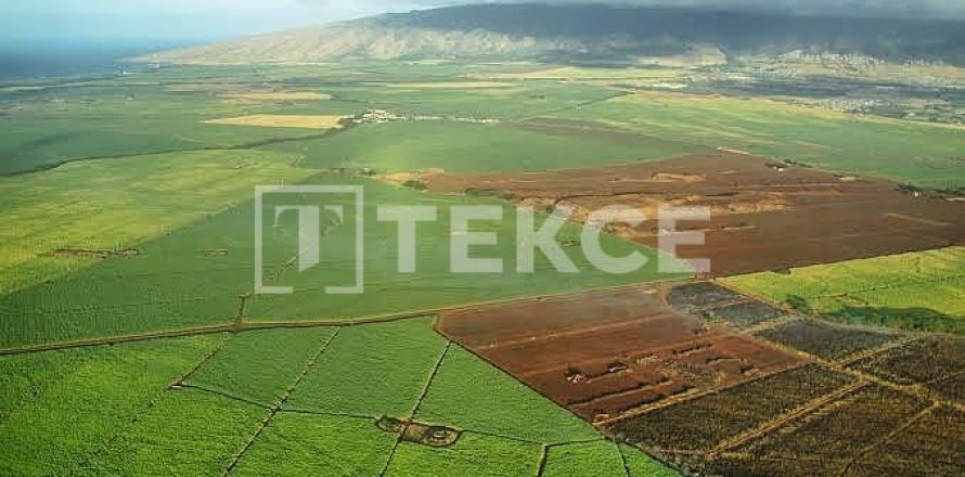 17304m² Land in Arnavutkoey, Turkey No. 129764