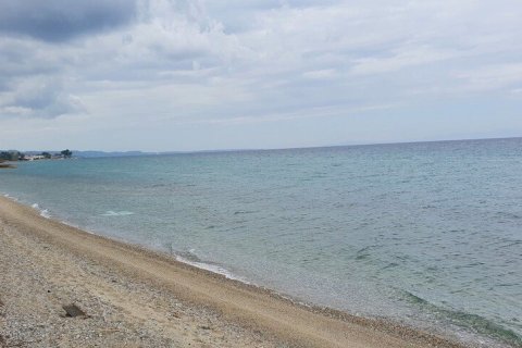 12000m² Land in Chalkidiki, Greece No. 56200 1