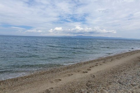 12000m² Land in Chalkidiki, Greece No. 56200 2