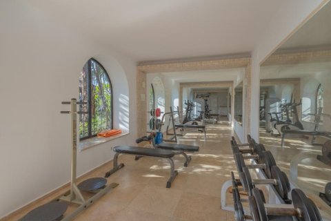 Вилла с 5 комнатами в Nong Ha, Вьетнам №17694 5