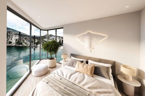 3 chambres Penthouse à Long Dinh, Vietnam No. 92253 3