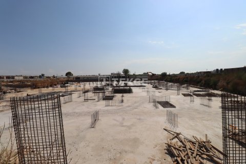 Квартира с 3 спальнями в Phu Tan, Вьетнам №21903 19