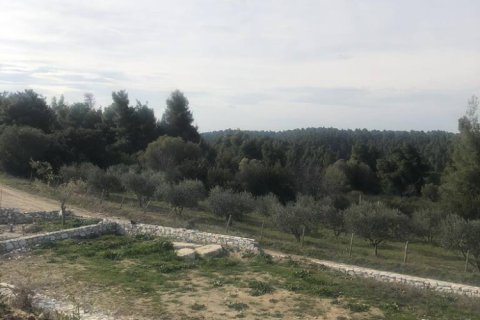 3 dormitorios Villa en Chalkidiki, Greece No. 55581 12