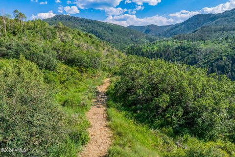 1.68m² Land à Edwards, USA No. 76379 2