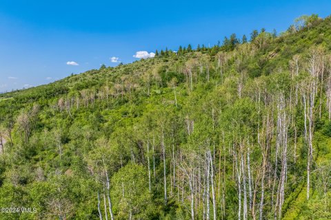 1.68m² Land à Edwards, USA No. 76379 7