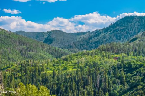 1.68m² Land à Edwards, USA No. 76379 6