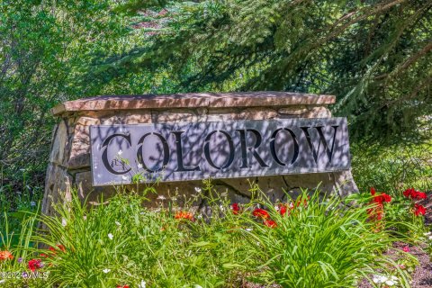 1.68m² Land à Edwards, USA No. 76379 3