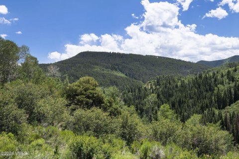 1.68m² Land à Edwards, USA No. 76379 5