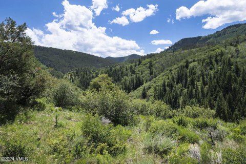 1.68m² Land à Edwards, USA No. 76379 1