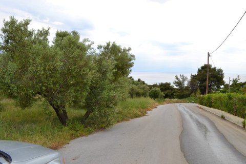 6012m² Land in Chalkidiki, Greece No. 58737 1