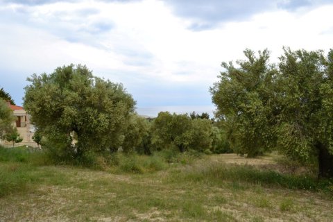 6012m² Land in Chalkidiki, Greece No. 58737 4