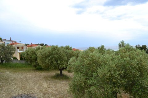 6012m² Land in Chalkidiki, Greece No. 58737 7