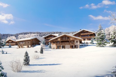 4 bedrooms House in Demi-Quartier, France No. 100097 1