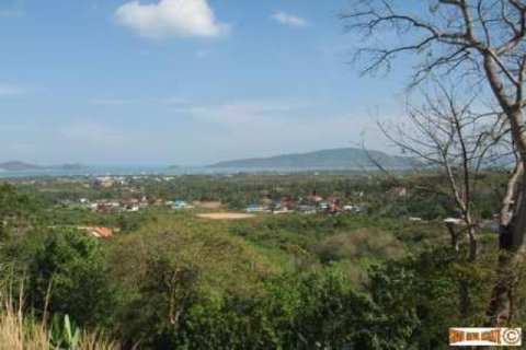 2400m² Land in Chalong, Thailand No. 95634 1