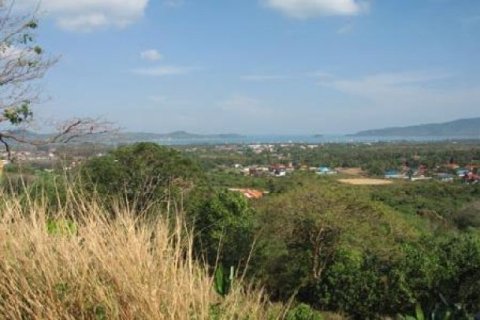 2400m² Land in Chalong, Thailand No. 95634 3