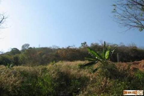 2400m² Land in Chalong, Thailand No. 95634 5