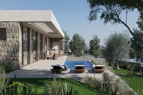 Вилла с 5 спальнями в Пафос, Кипр №39165 4