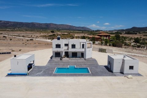 4 chambres Villa à Pinoso, Spain No. 128215
