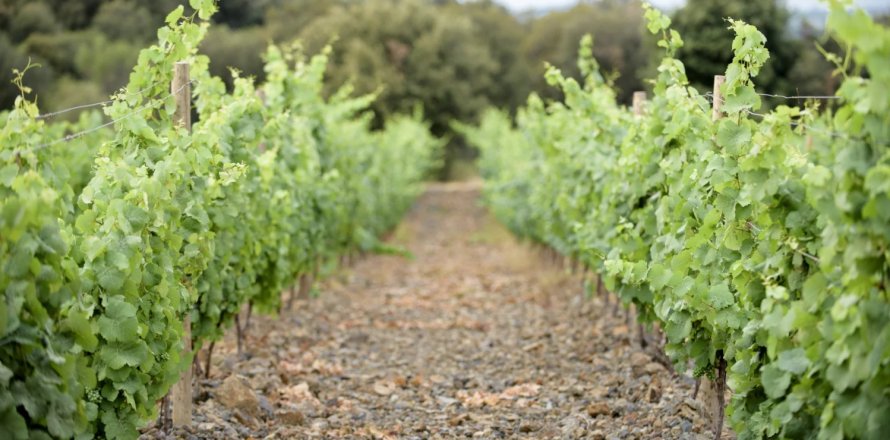 Дом студия в Фожер, Франция №68105