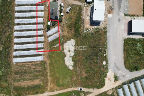 Земельный участок 918м² в Серик, Турция №125677