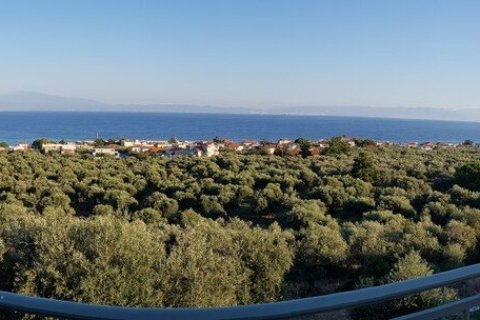 3 bedrooms Villa in Thasos, Greece No. 55566 12